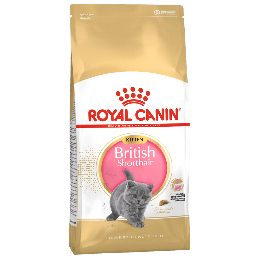 royal canin british shorthair kitten 2kg