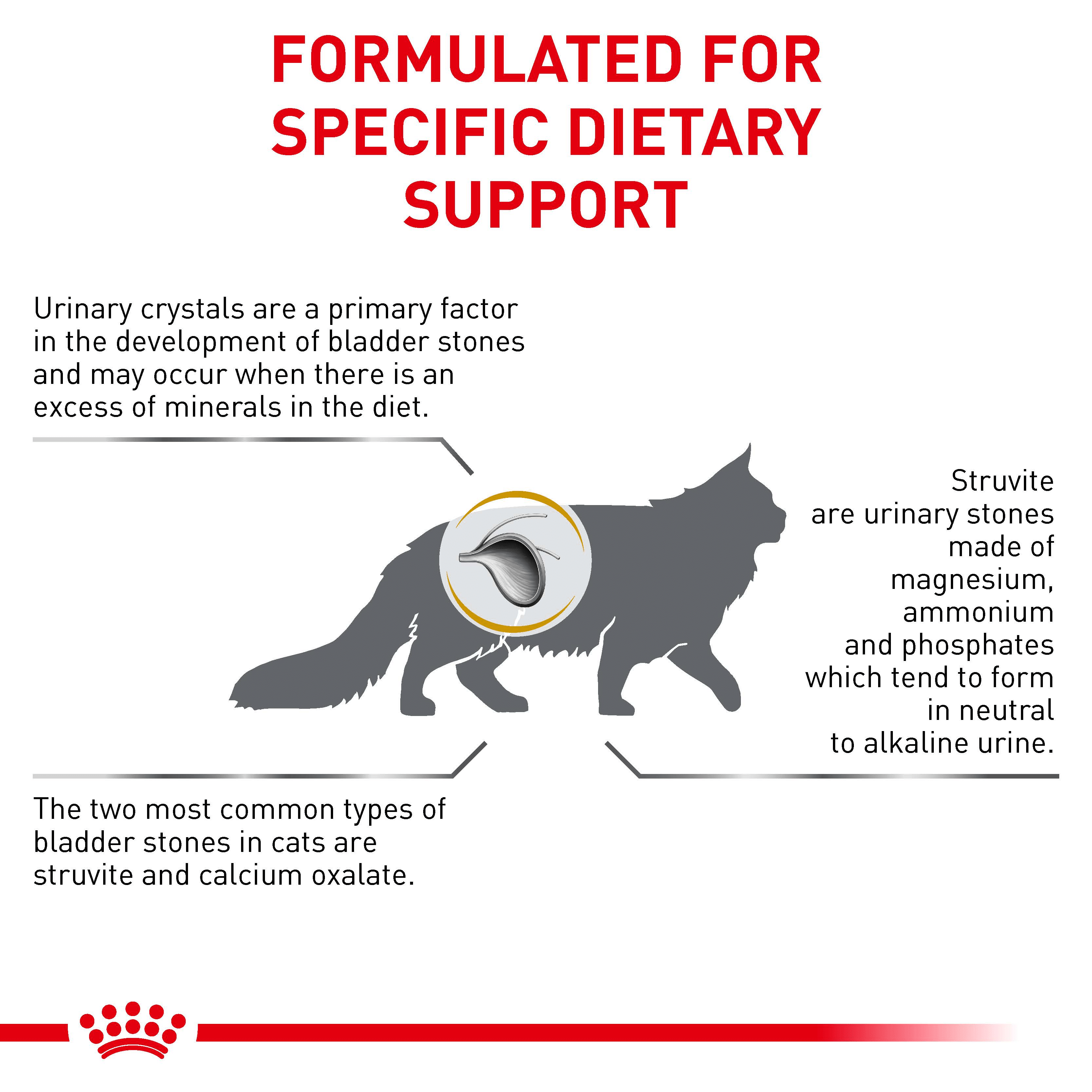 Royal Canin Feline Urinary SO-10 royal canin urinary s/o cat food