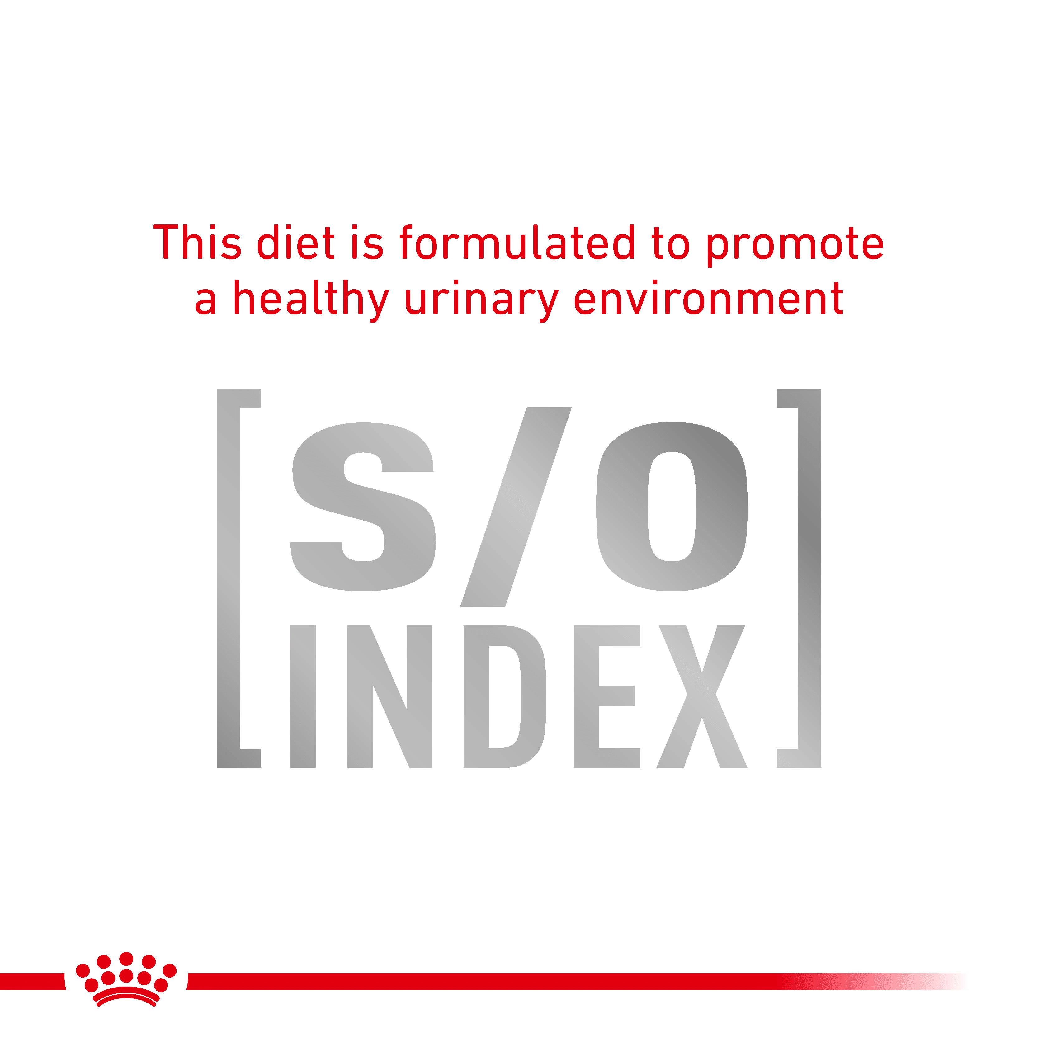 Royal Canin Feline Urinary SO-12 royal canin urinary s/o cat food