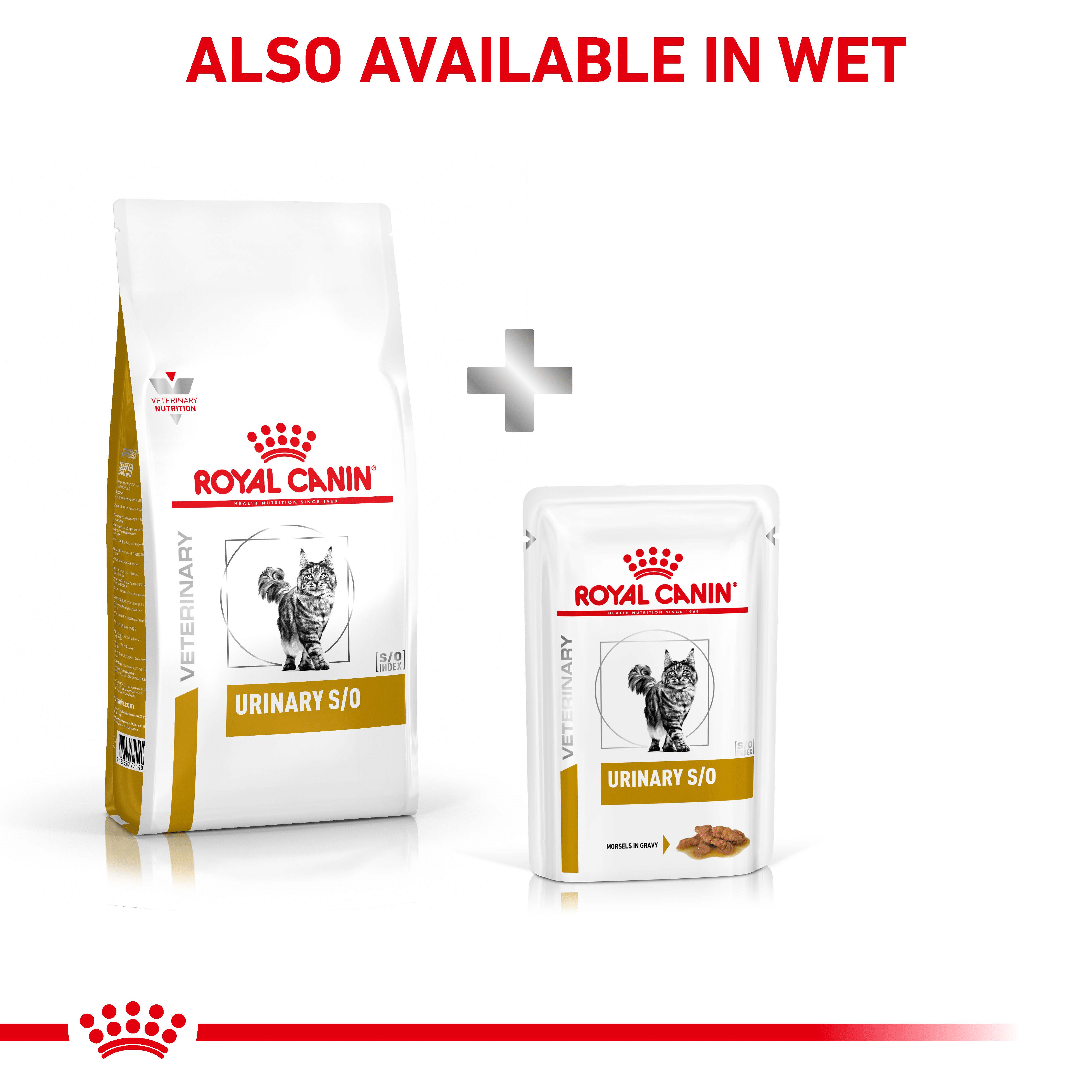 Royal Canin Feline Urinary SO-15 royal canin urinary s/o cat food