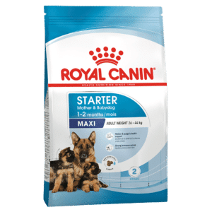 royal canin mother & babydog starter maxi 15kg