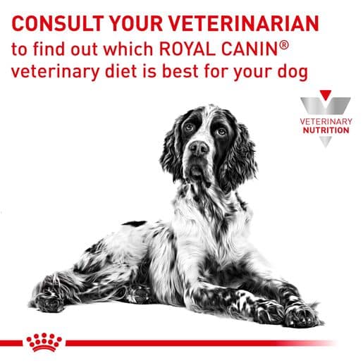 Royal Canin Veterinary Diet Canine Gastrointestinal Canned Wet Dog Food-6 royal canin veterinary diet canine gastrointestinal canned wet dog food