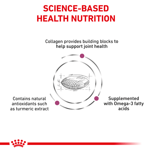 Royal Canin Veterinary Diet Canine Mobility C2P+ Dry Dog Food-8 royal canin mobility c2p+for dogs
