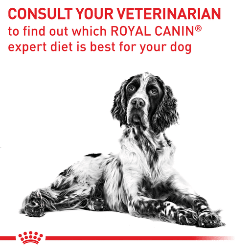 Royal Canin Veterinary Diet Canine Neutered Adult Medium Dogs Dry Dog Food-13 royal canin neutered adult medium dog