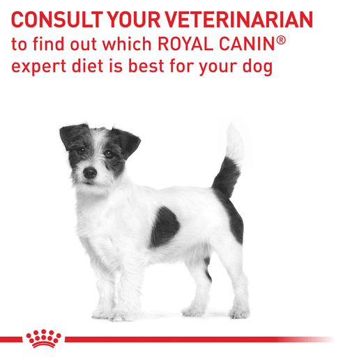 Royal Canin Veterinary Diet Canine Neutered Adult Small Dogs Dry Dog Food-13 royal canin neutered adult small breed dog food