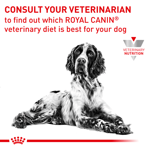 Royal Canin Veterinary Diet Canine Skintopic Dry Dog Food-13 royal canin skintopic dog food