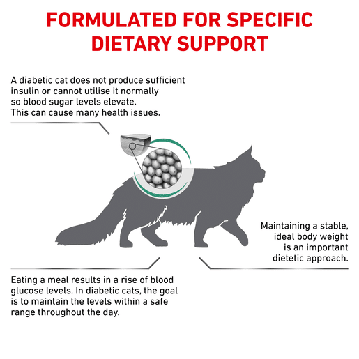 Royal Canin Veterinary Diet Feline Diabetic Dry Cat Food-7 royal canin diabetic dry cat food 1.5kg