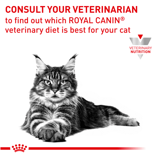 Royal Canin Veterinary Diet Feline Renal Dry Cat Food-13 royal canin renal feline 2kg