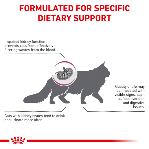 Royal Canin Veterinary Diet Feline Renal Dry Cat Food-7 royal canin renal feline 2kg