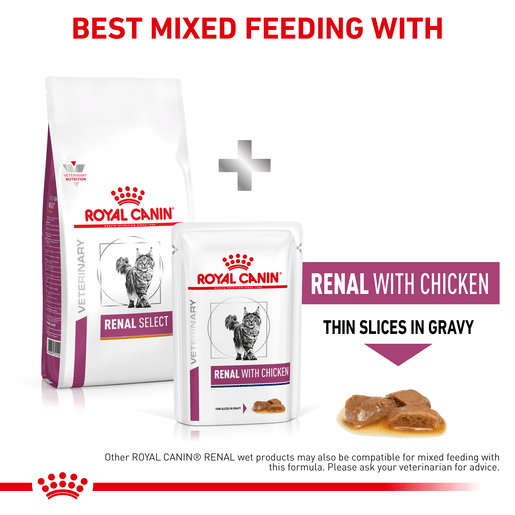 Royal Canin Veterinary Diet Feline Renal Select Dry Cat Food-12 royal canin veterinary diet feline renal select dry cat food 2kg