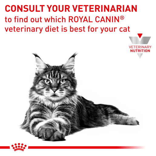Royal Canin Veterinary Diet Feline Sensitivity Control Chicken with Rice Pouch Wet Cat Food-12 royal canin cat sensitivity control pouches 85g x 12