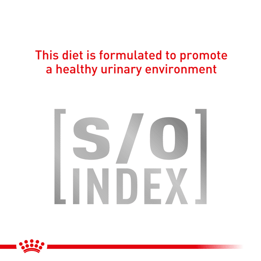 Royal Canin Veterinary Diet Feline Sensitivity Control Chicken with Rice Pouch Wet Cat Food-9 royal canin cat sensitivity control pouches 85g x 12