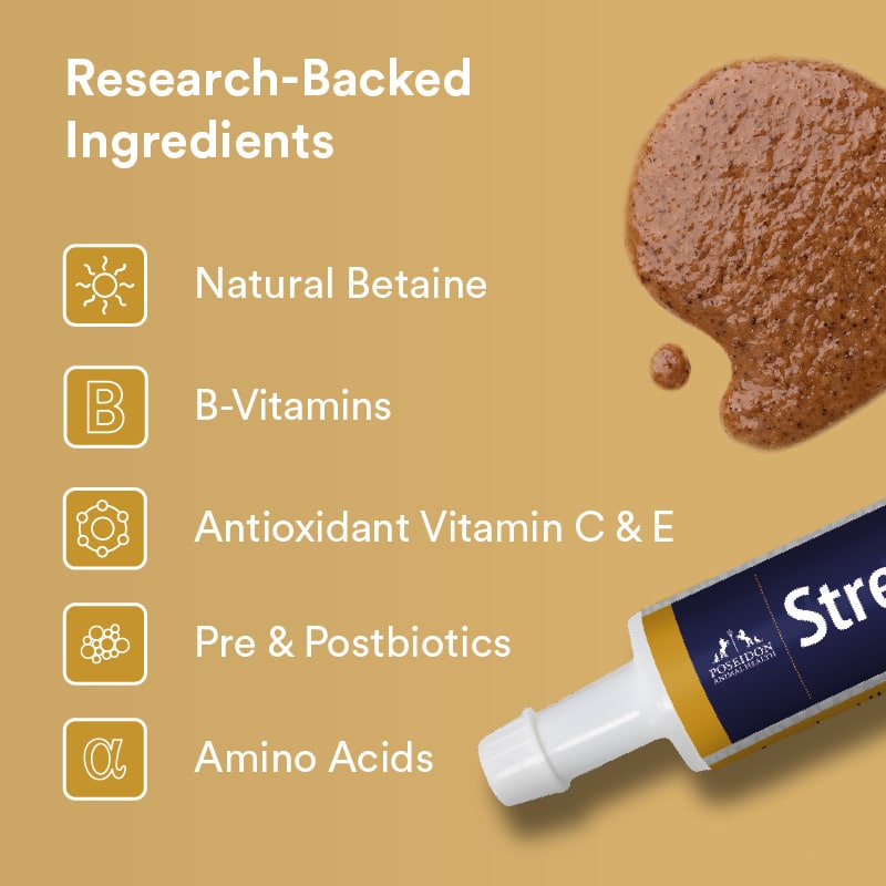 SP _ NZ Ingredient Gallery Tile stress paste