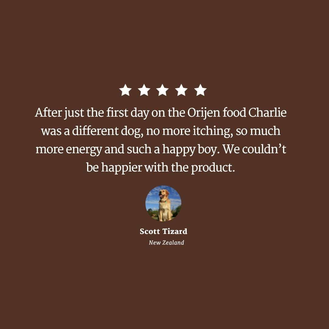 Simple-Neutral-Tones-Testimonial-instagram1080-(10) orijen dog tundra