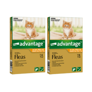 advantage spot on small cat and kitten <4kg
