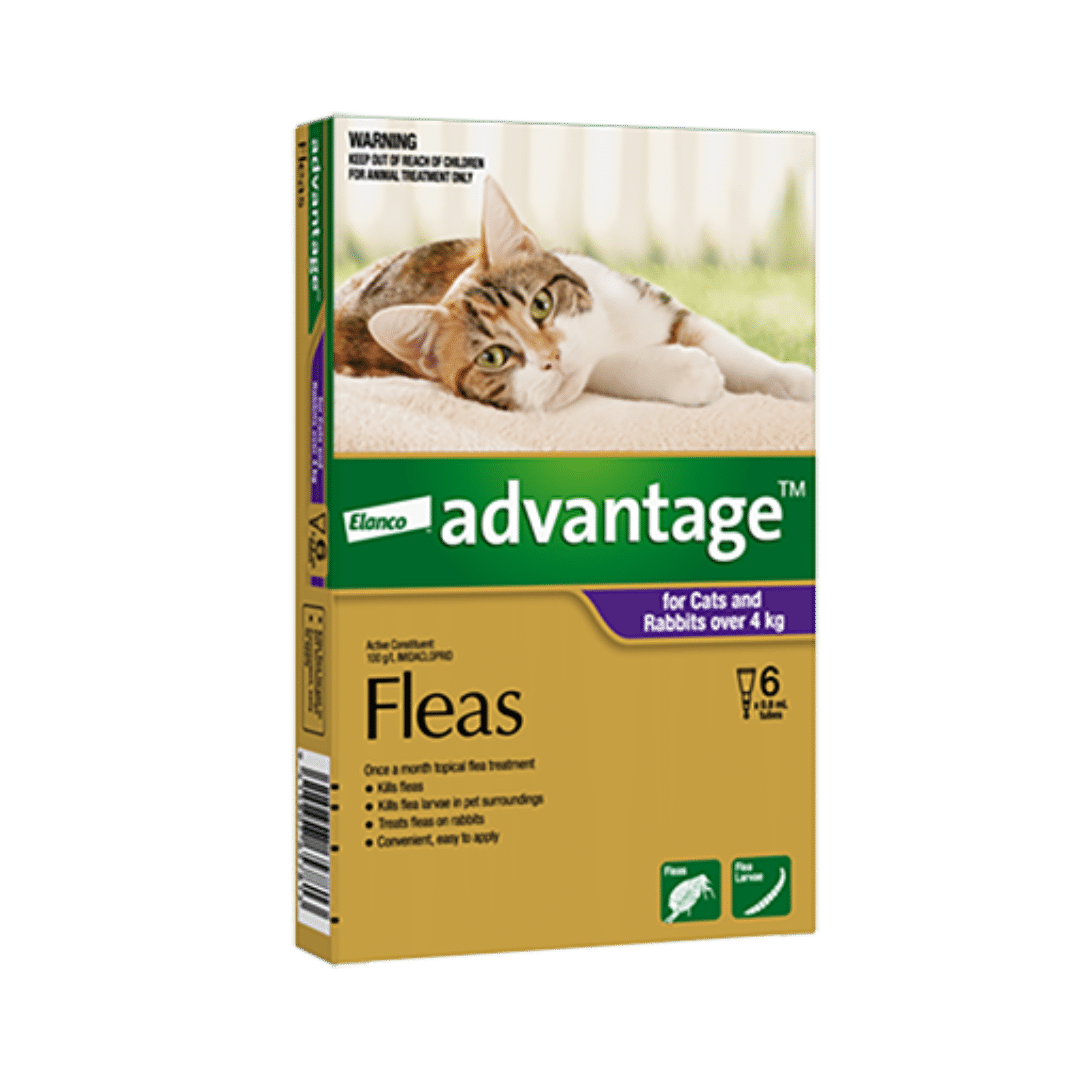 Advantage Spot-On Flea Treatment for Large Cats >4kg Buy Online