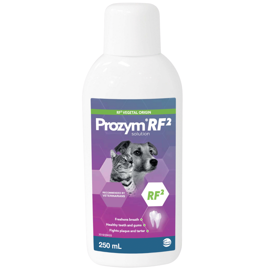 prozym solution 250mls