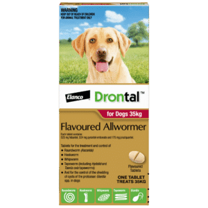 drontal allwormer for cats 6kg