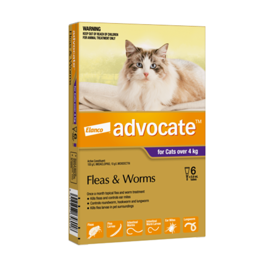 Advocate Large Cat Flea and Worm Treatment Buy Online from Vet