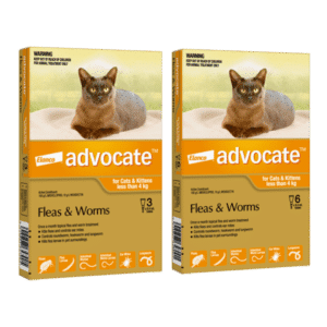 advocate small cat and kitten < 4kg flea and worm treatment