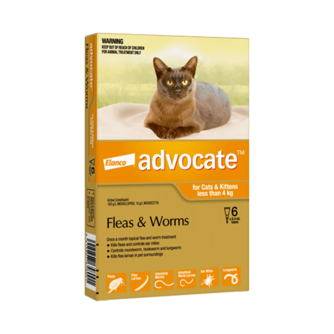 Advocate Small Cat and Kitten 4kg Flea and Worm Treatment