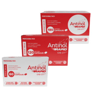 antinol rapid for dogs
