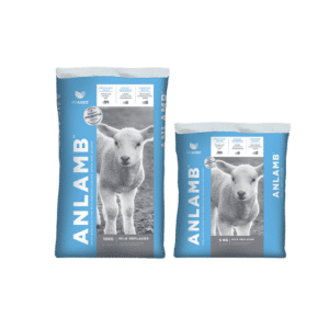 anlamb milk replacer