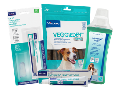 virbac dental (1)