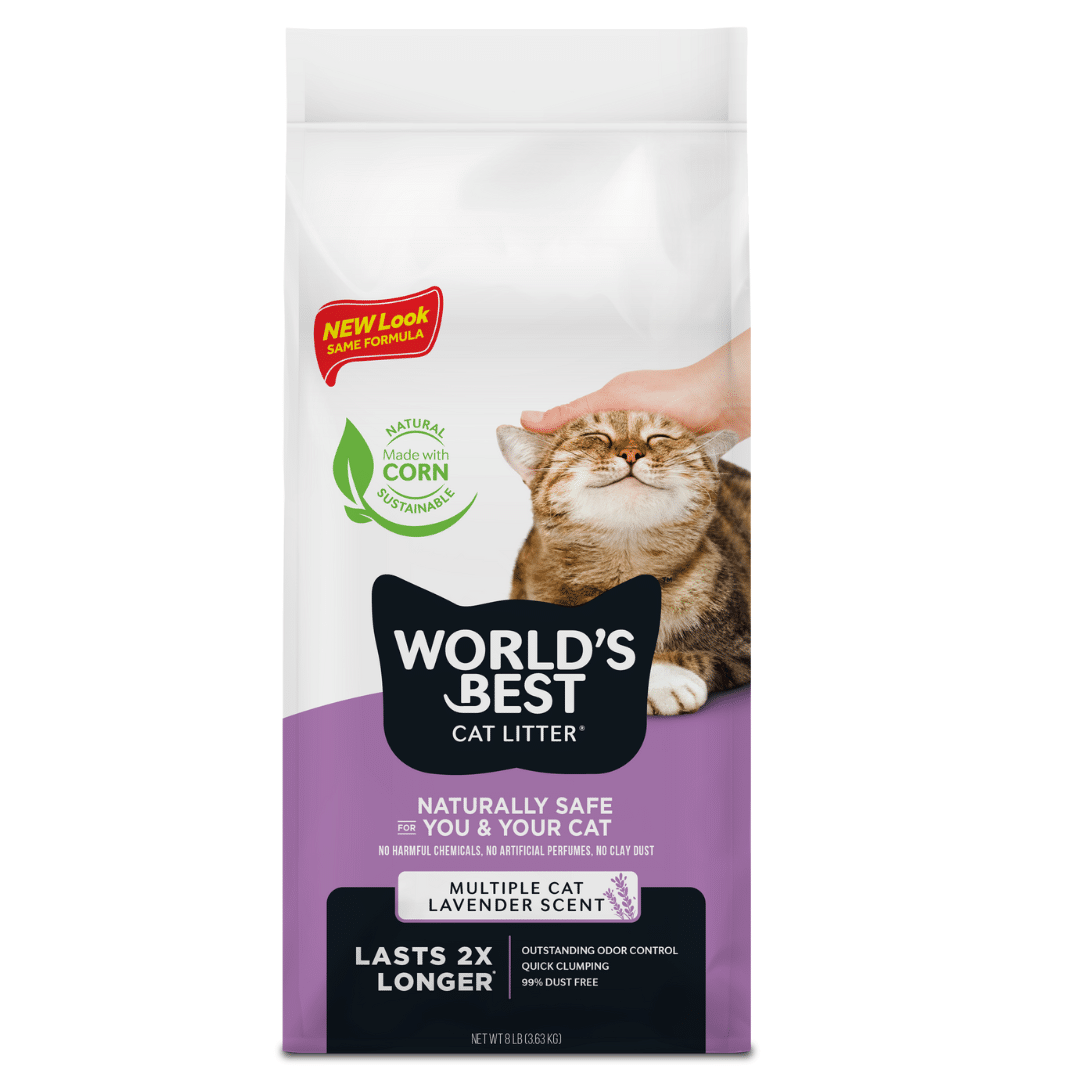 worlds best cat litter scented