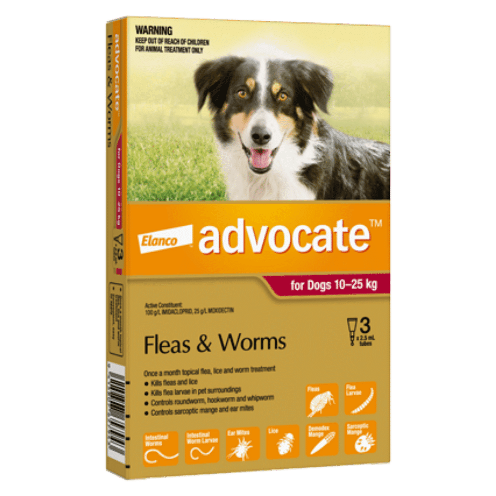 advocate-large-dog-10-25kg-flea-and-worm-treatment advocate large dog (10 25kg) flea and worm treatment 3 pack