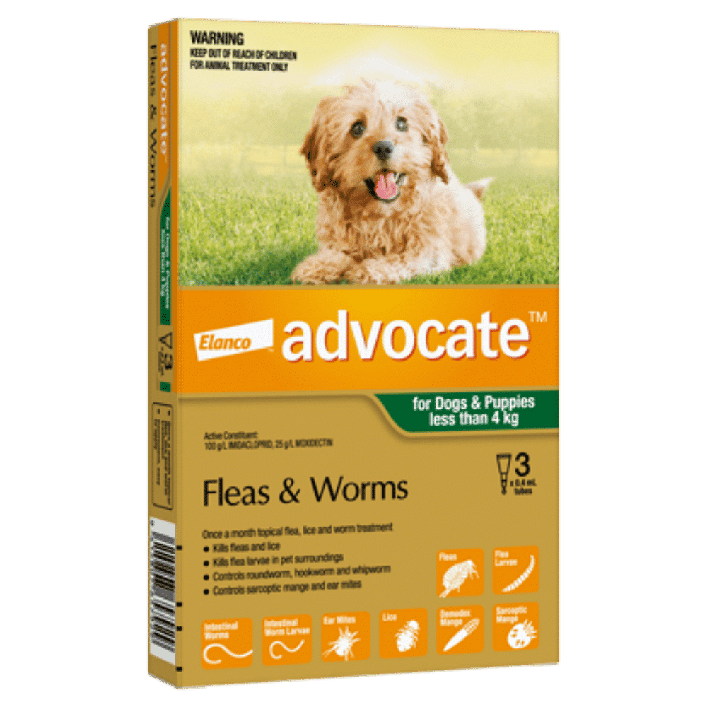 advocate-small-dog-flea-worm-treatment-3pack advocate small dog and puppy (under 4kg) flea and worm treatment 3 pack