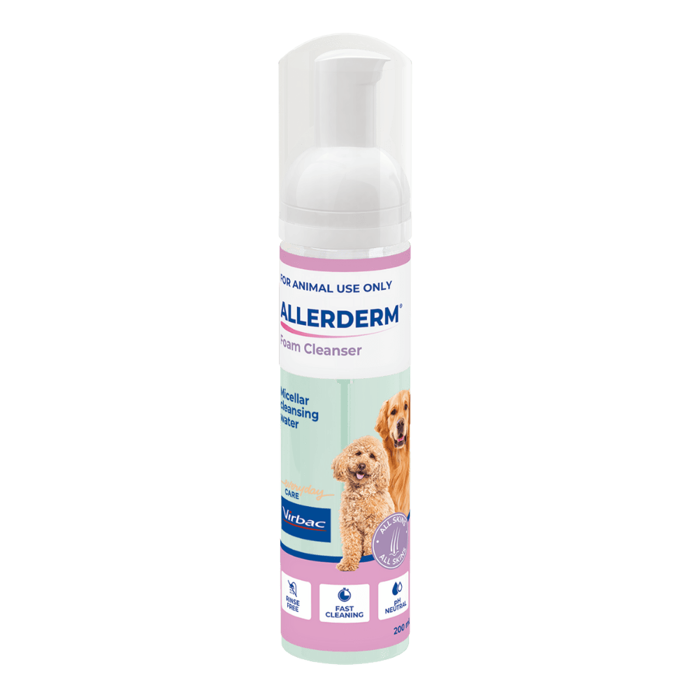 allerderm foam cleanser 200ml