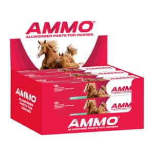 Ammo Allwormer Paste 32.5g