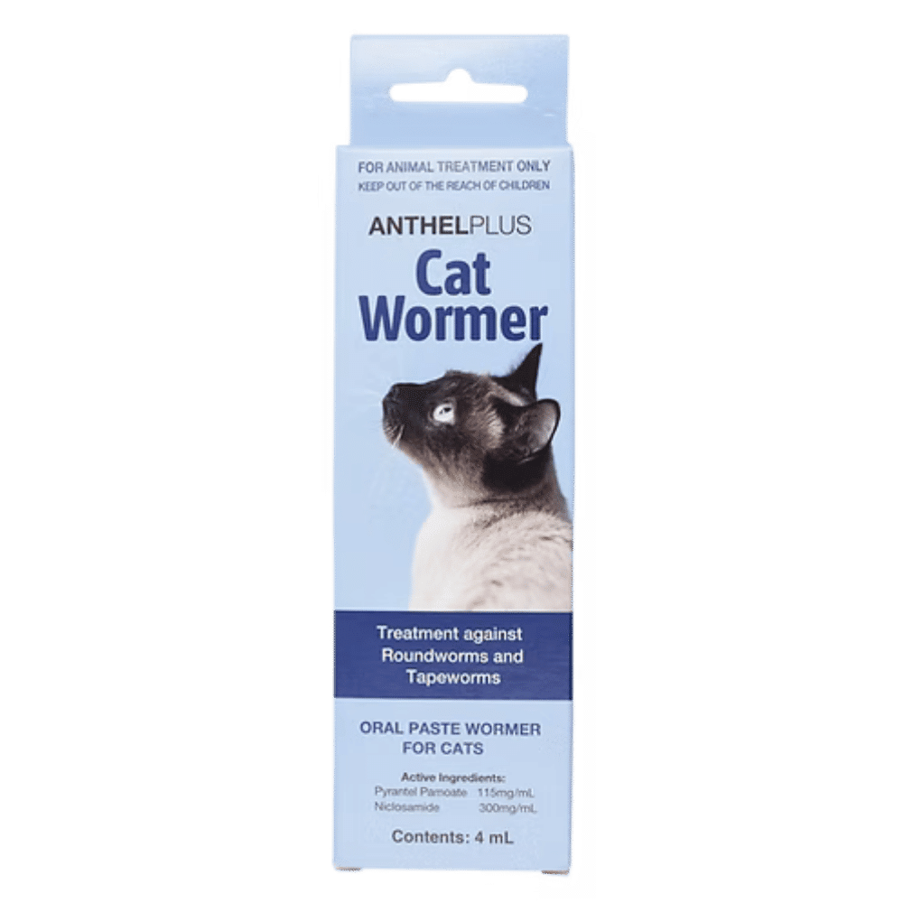 anthelplus-cat-wormer-paste-4mL-front-box anthel plus cat wormer paste