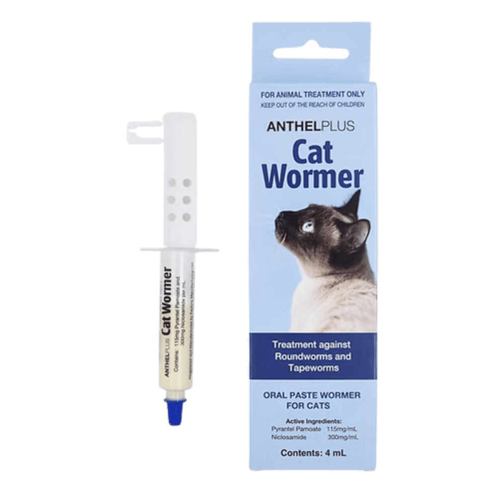 anthel plus cat wormer paste