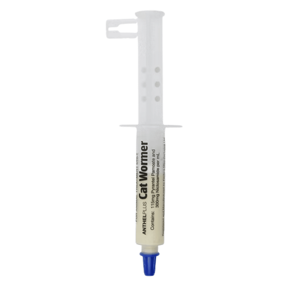 anthelplus-cat-wormer-paste-4mL-syringe anthel plus cat wormer paste