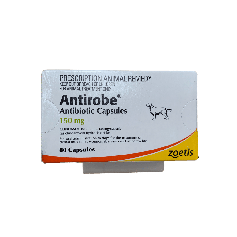 antirobe (clindamycin) 150mg capsules 80 pack