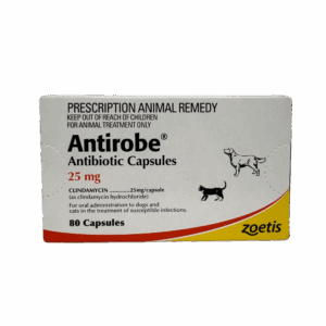 antirobe (clindamycin) 25mg capsules 80 pack