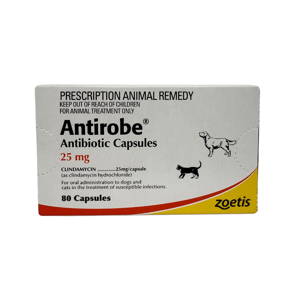 antirobe (clindamycin) 25mg capsules 80 pack
