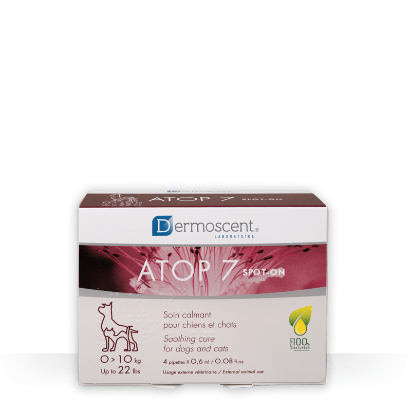 dermoscent atop 7 spot on for cats and dogs