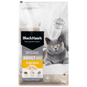 black hawk cat original adult chicken