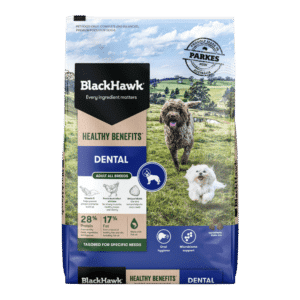 black hawk healthy benefits dental