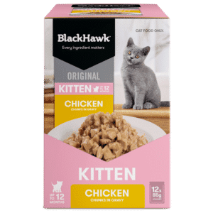 black hawk original kitten pouches 85g x 12