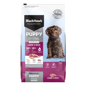 black hawk puppy medium breed lamb & rice