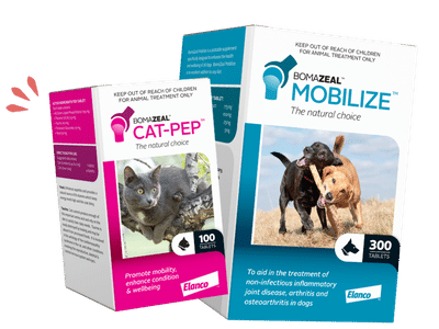 bomazeal latest promotions tile