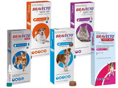 bravecto (15)