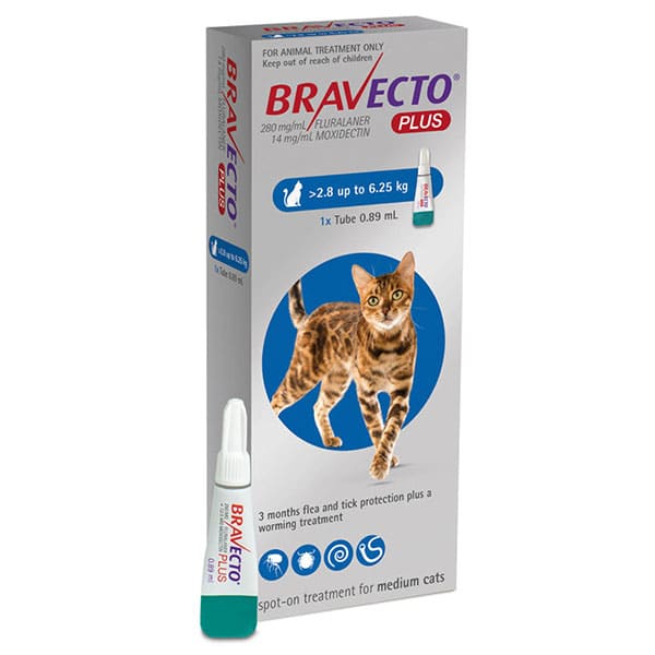 Bravecto PLUS for Medium Cats (2.86.25kg) Buy Online from Vet Post