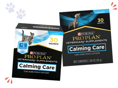 calming care promotion
