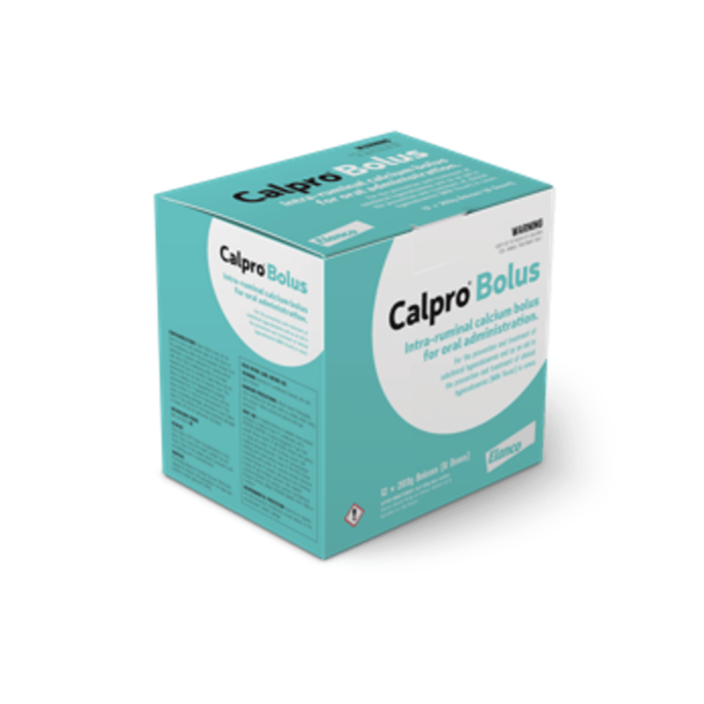 calpro bolus