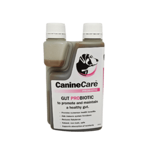 caninecare gut probiotic 250ml